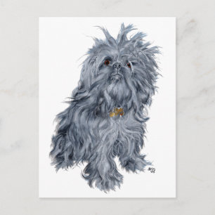 Brüsseler Griffon Postkarte