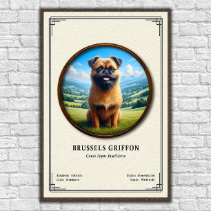 Brüsseler Griffon Zoologie-Serie Poster