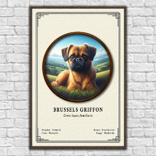 Brüsseler Griffon Zoologie-Serie Poster