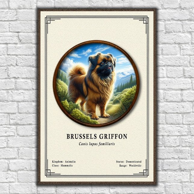 Brüsseler Griffon Zoologie-Serie Poster (Von Creator hochgeladen)