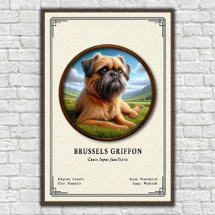 Brüsseler Griffon Zoologie-Serie Poster