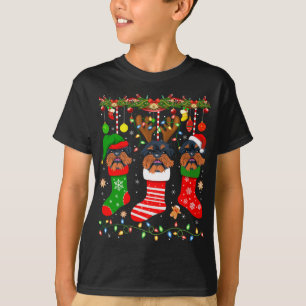 Brussels Griffon Dog in Christmas Socks Lights Xma T-Shirt