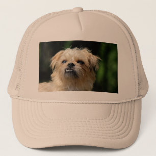 brussels-griffon.png truckerkappe