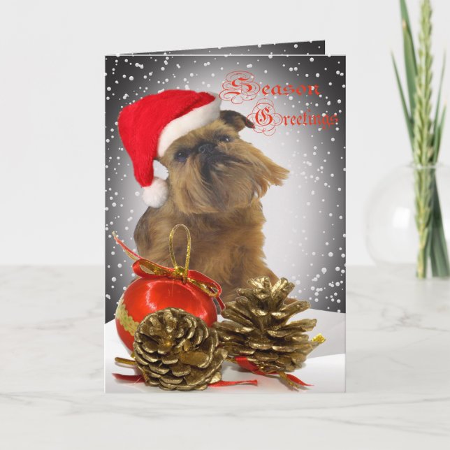 Brussels Griffon Season Greetings Cards Feiertagskarte (Vorderseite)