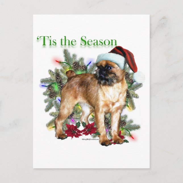 Brussels Griffon Tis the Season Postkarte (Vorderseite)