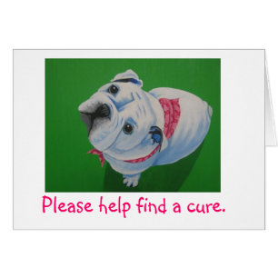 Brustkrebs, Stierhund