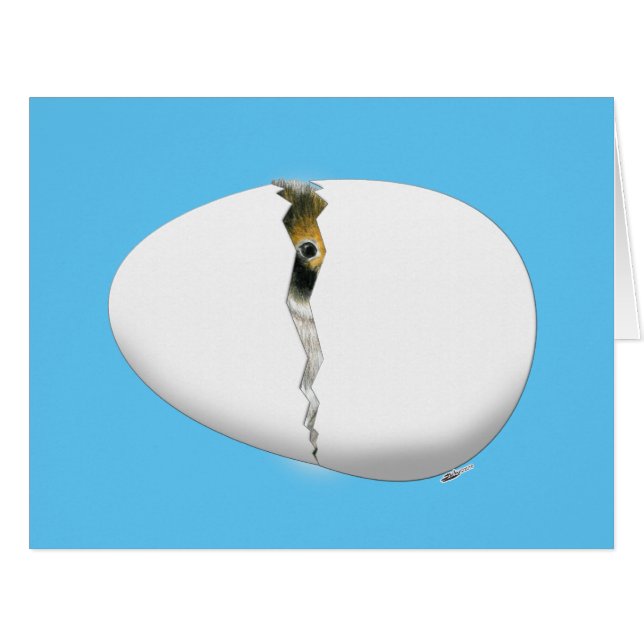 Bruteier (Vorderseite (Horizontal))