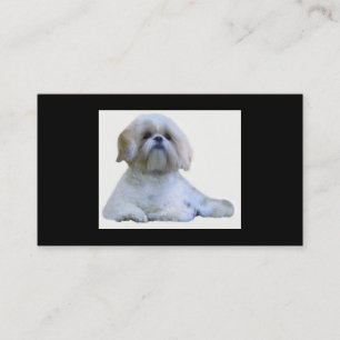 Brüter-Visitenkarte Shih Tzu Visitenkarte