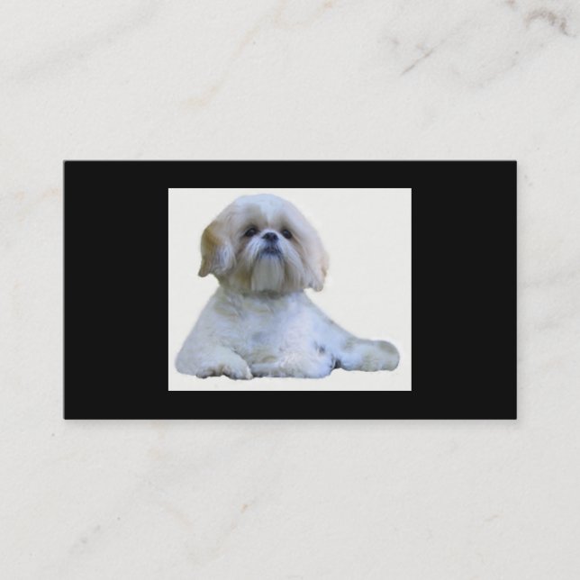 Brüter-Visitenkarte Shih Tzu Visitenkarte (Vorderseite)