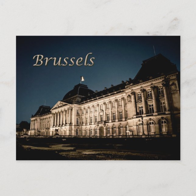 Bruxelles Belgique Palais Royal Carte postale (Devant)