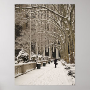 Bryant Park Snow Poster