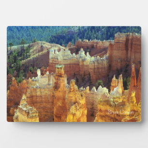 Bryce Canyon Fotoplatte