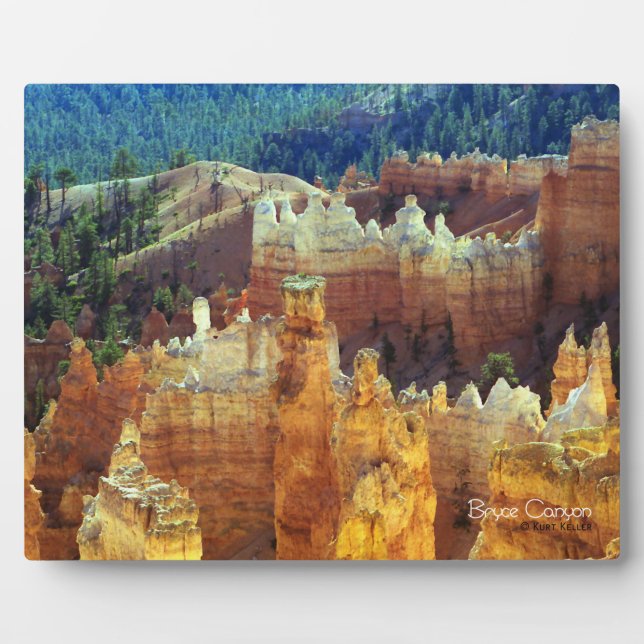 Bryce Canyon Fotoplatte (Vorderseite)