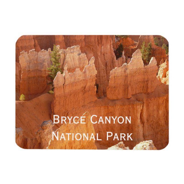 Bryce Canyon Hoodoos Magnet (Horizontal)