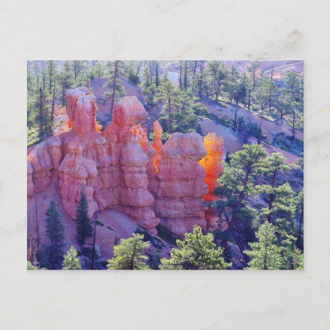 Bryce Canyon Leuchtend Postkarte (Vorderseite)