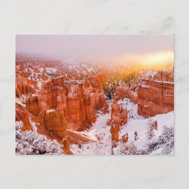 Bryce Canyon National Park Postkarte (Vorderseite)