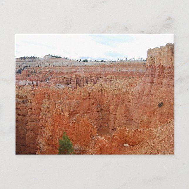 Bryce Canyon National Park, Utah, Postcard Postkarte (Vorderseite)