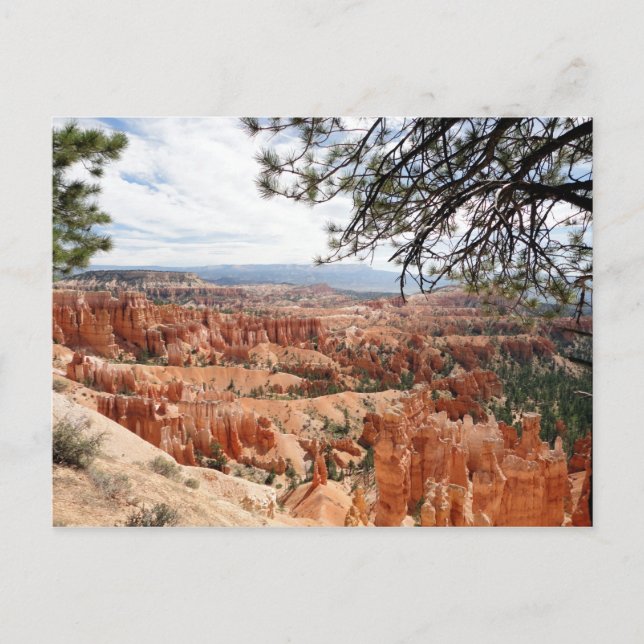 Bryce Canyon Nationalpark Hoodoos Postkarte (Vorderseite)