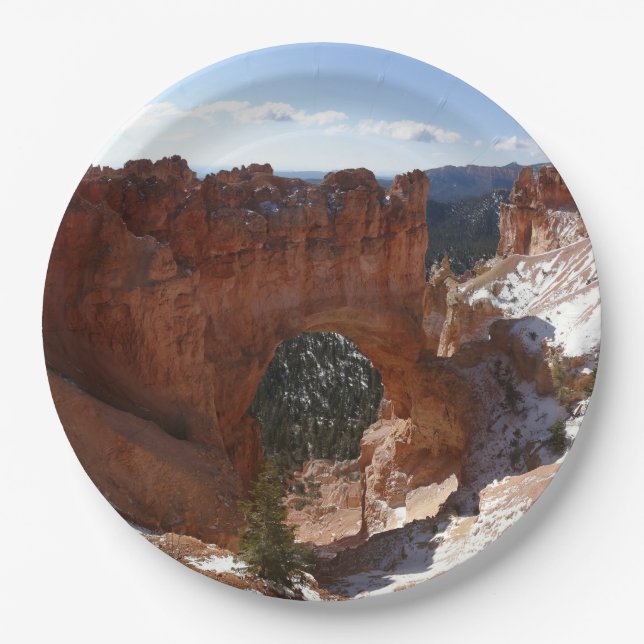 Bryce Canyon Natural Bridge Snowy Landscape Foto Pappteller (Vorderseite)
