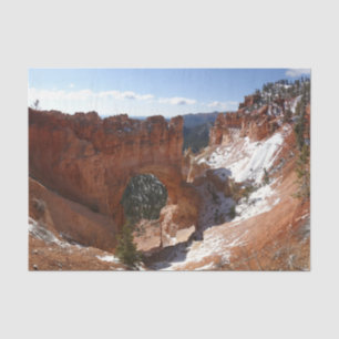 Bryce Canyon Natural Bridge Snowy Landscape Foto Seidenpapier