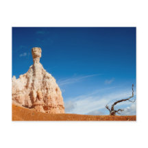 Bryce Canyon NP - Gnome und eine Baumpostkarte