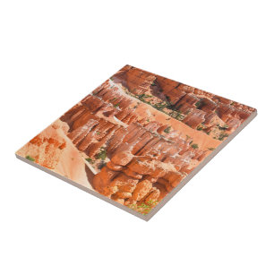 Bryce Canyon Park Utah Landschaft Hoodoos Foto Fliese