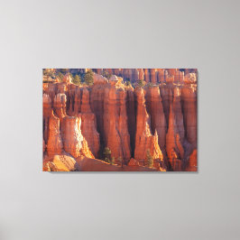 Bryce Canyon Tower Hoodoos  Leinwanddruck