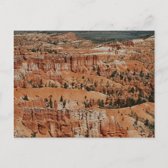 Bryce Canyon, Ut Postkarte (Vorderseite)