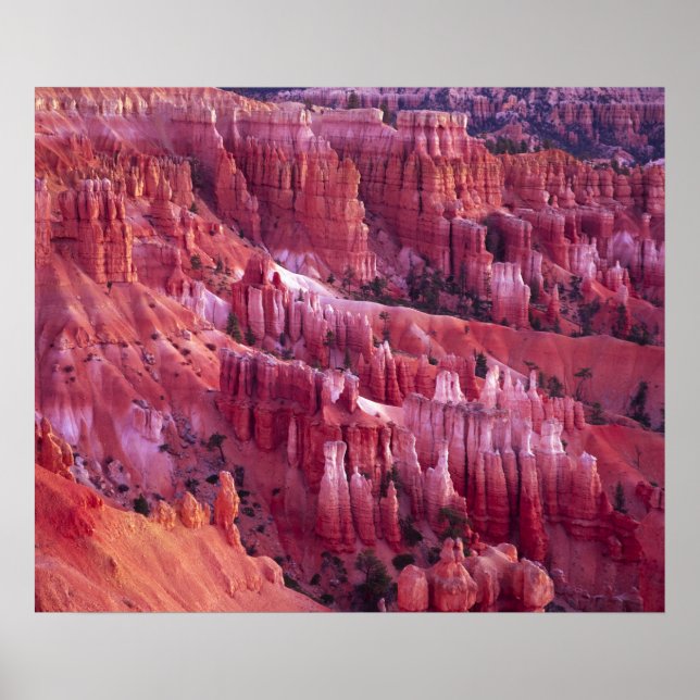 Bryce Canyon, Utah, USA Poster (Vorne)