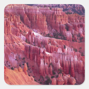 Bryce Canyon, Utah, USA Quadratischer Aufkleber