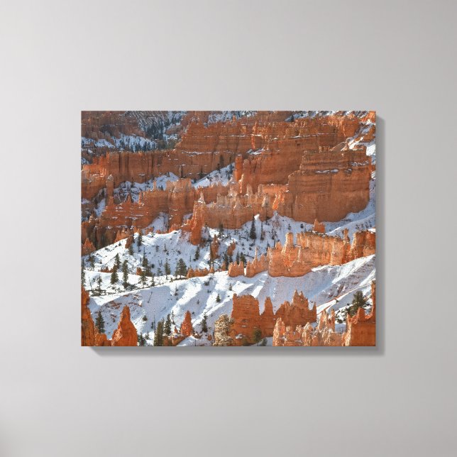 Bryce im Winter Leinwanddruck (Vorderseite)