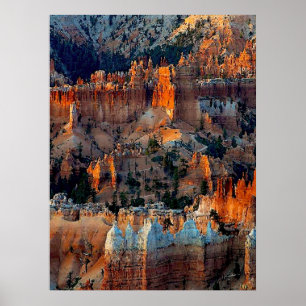 Bryce Schlucht am Sonnenaufgang Poster
