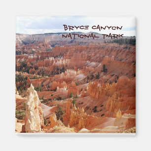 Bryce Schlucht Ampitheater Magnet
