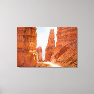 Bryce Schlucht-Nationalpark-Spur Leinwanddruck