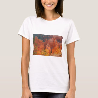 Bryce Schlucht Utah T-Shirt