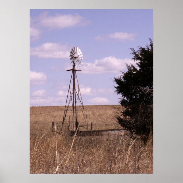 BSFL Windmill Poster (Vorne)