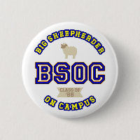 BSOC - Perfekte Stranger