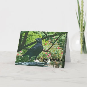 BT - Fundy Crow Carte d'anniversaire