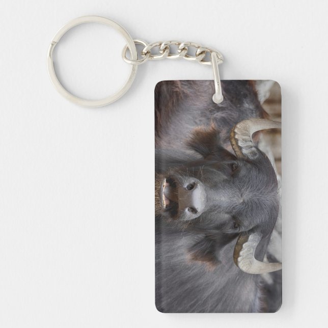 Bubalus bubalis schlüsselanhänger (Vorderseite)