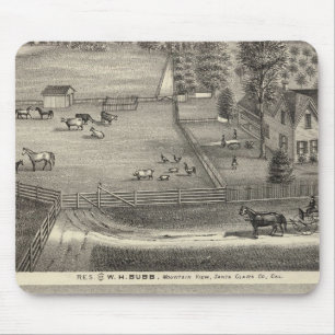 Bubb-Residenzen Mousepad