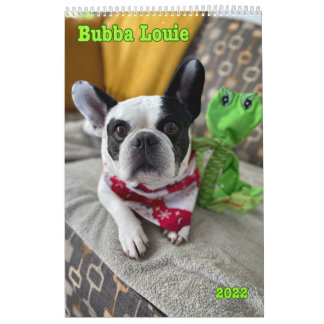 Bubba-Kalender 2022 Kalender