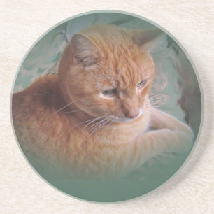 Bubba The Orange Tabby Tomcat Sandstein Untersetzer