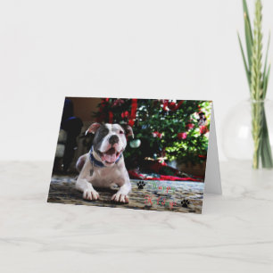 Bubbas frohe Feiertage Feiertagskarte