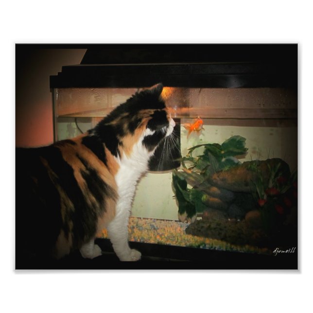 Bubble Kiss Fotodruck (Vorne)