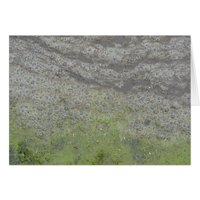 Bubblescale (Vorderseite (Horizontal))