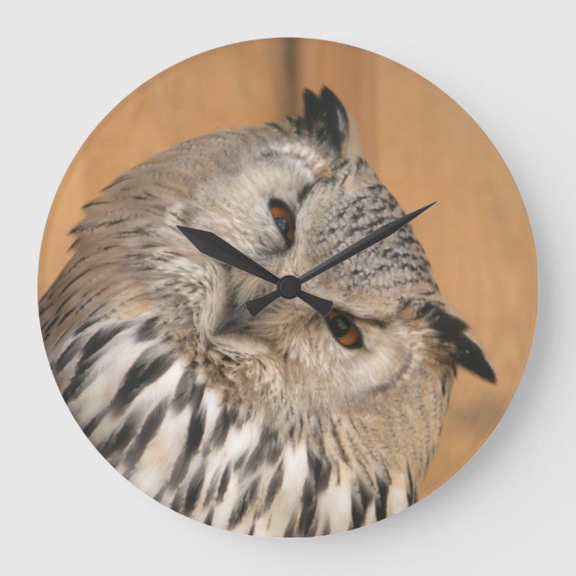 Bubo bubo sibiricus große wanduhr (Vorderseite)
