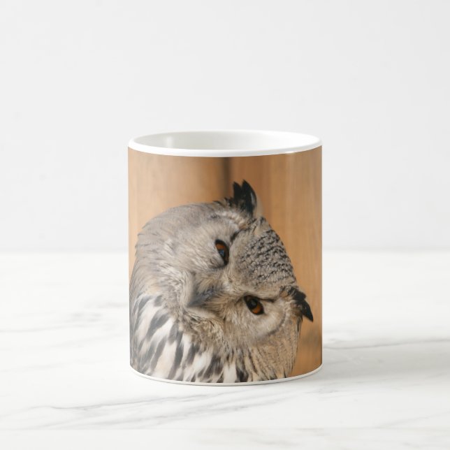 Bubo Bubo sibiricus Kaffeetasse (Mittel)