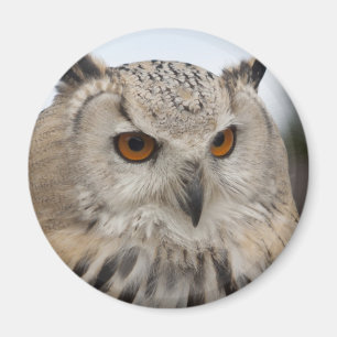 Bubo bubo sibiricus magnet