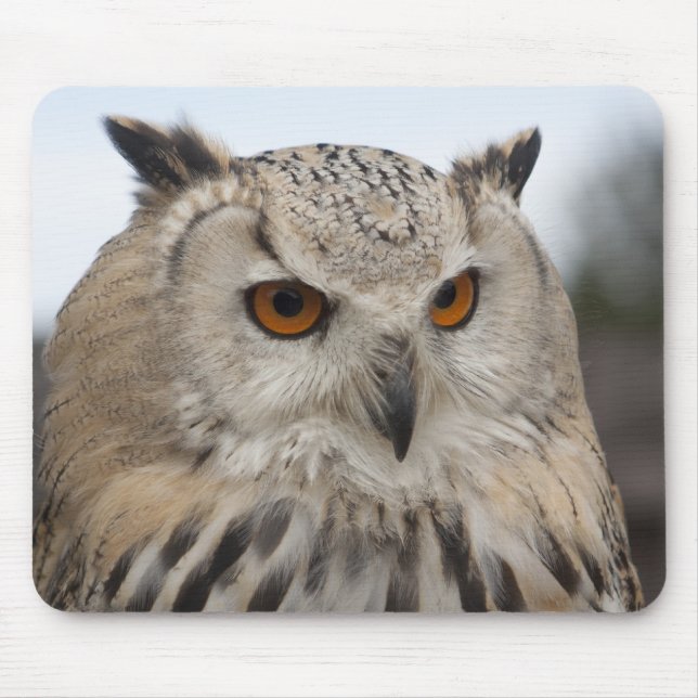 Bubo bubo sibiricus mousepad (Vorne)