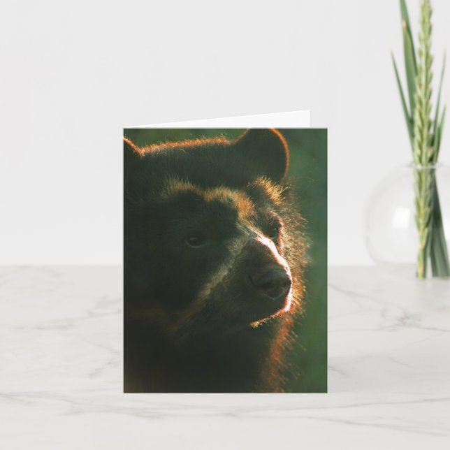 Bubu Notecard PB2 Karte (Vorderseite)